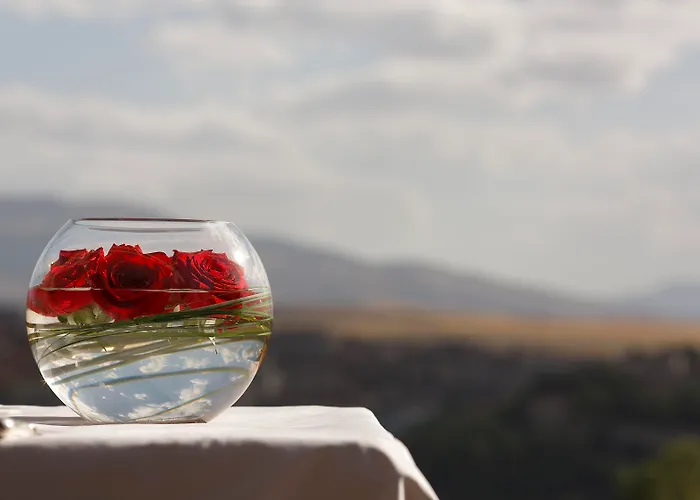 파라도르 데 4* 세고비아